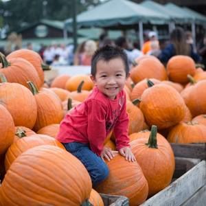 Meet your Posher, Thoa